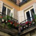 Même en ville, optez pour un balcon fleuri !